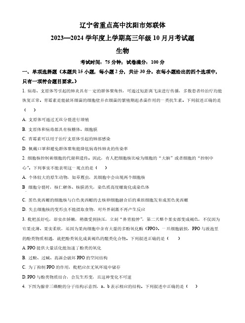 辽宁省重点高中沈阳市郊联体2023-2024学年高三10月月考生物试题含答案