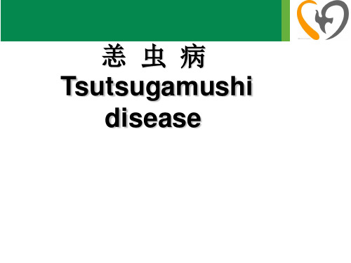 传染病学:恙虫病