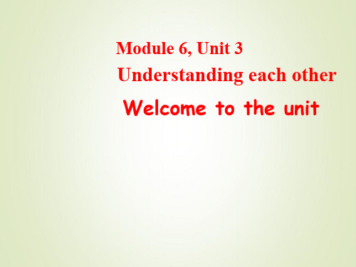 牛津版高中英语选修6 Unit 3 Understanding each other- welcome to the unit课件(41张PPT)