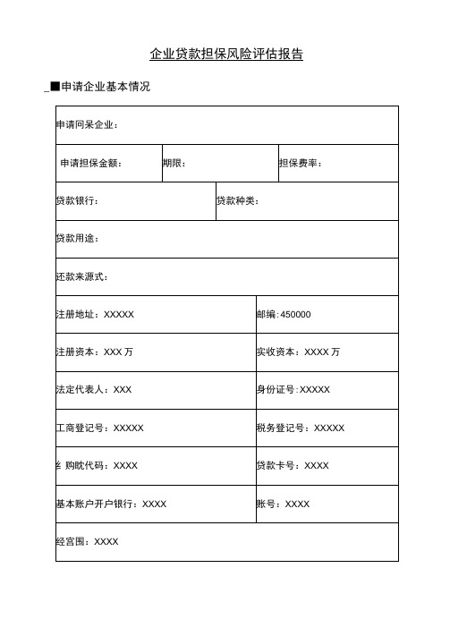 企业贷款担保风险评估实施报告(样本)