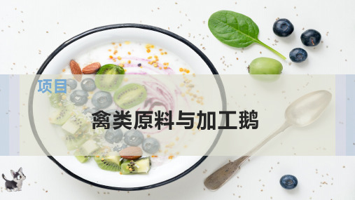 禽类原料与加工鹅