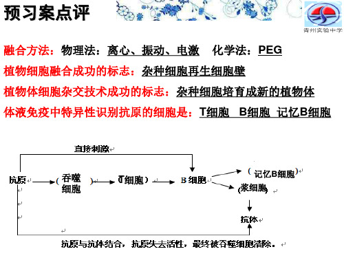 动物细胞培养与单克隆抗体制备 公开课