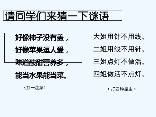 儿童文学的概述 PPT