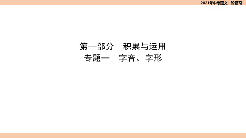 2021年中考语文专题复习课件-1.1字音字形 14PPT