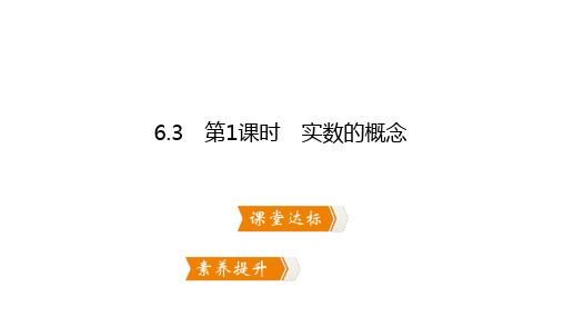 2020年春人教版七年级数学下册同步练习课件：第六章  实数6.3 第1课时 实数的概念