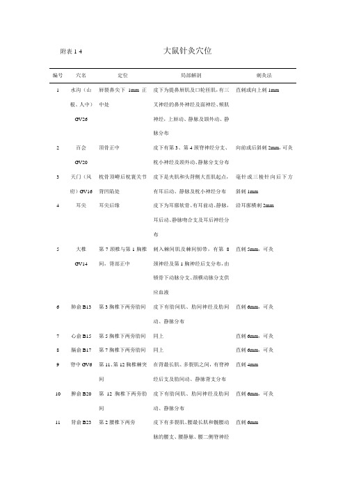 大鼠针灸穴位