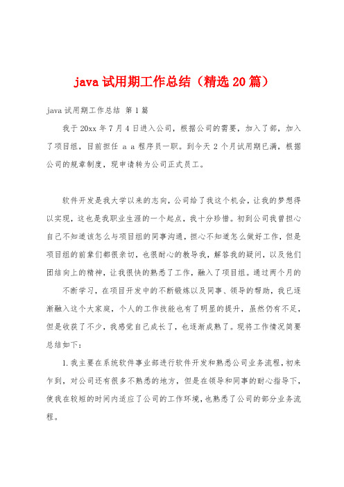 java试用期工作总结(精选20篇)