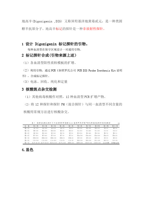 地高辛标记核酸探针