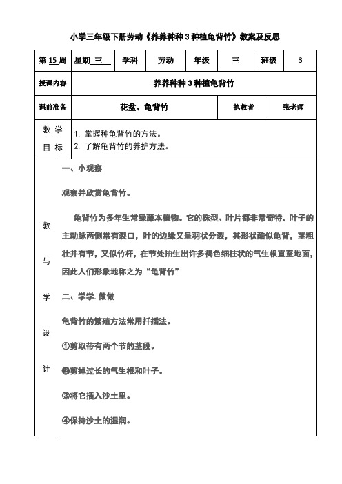 小学三年级下册劳动《养养种种3种植龟背竹》教案及反思