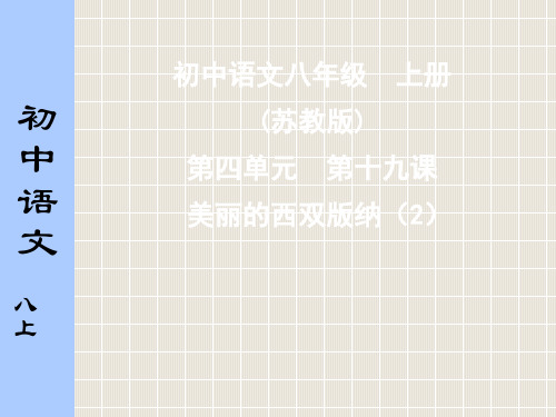 苏教版初中语文八年级上册美丽的西双版纳课件二课时