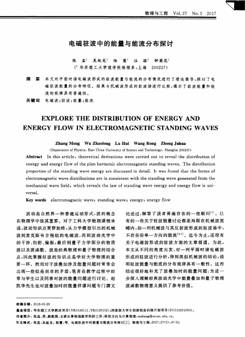 电磁驻波中的能量与能流分布探讨