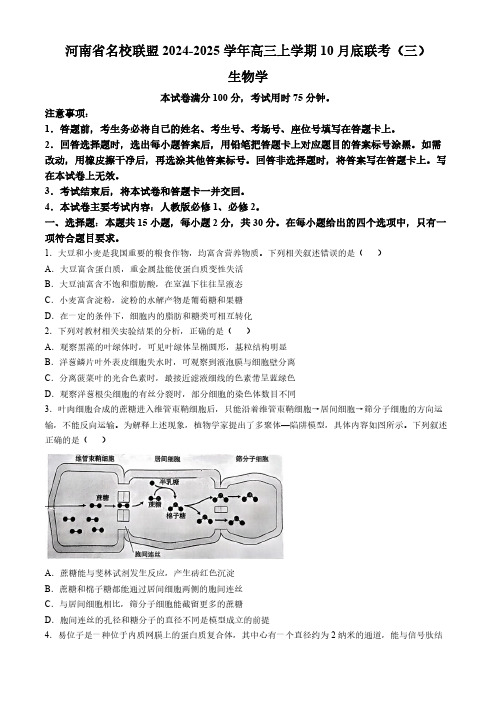 2024-2025学年河南省金太阳高三上学期联考(三)生物试题及答案