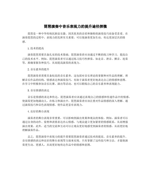 琵琶演奏中音乐表现力的提升途径探微