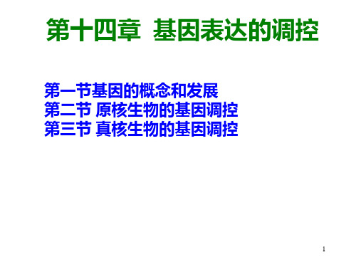 遗传学14第十四章缩略   基因表达的调控刘庆昌简要PPT课件