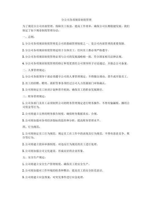 分公司各项规章制度管理