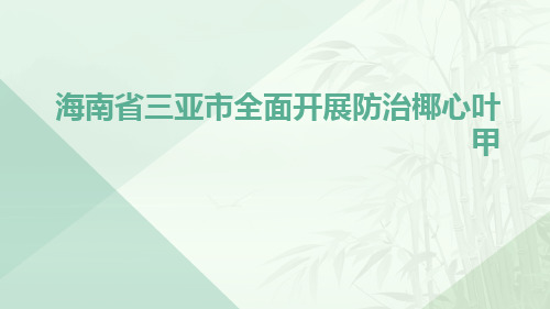 海南省三亚市全面开展防治椰心叶甲