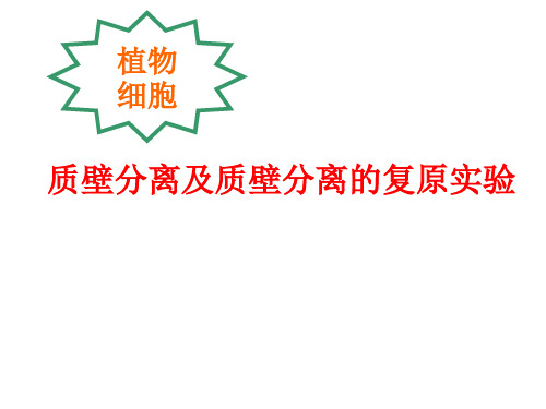 质壁分离及质壁分离的复原实验