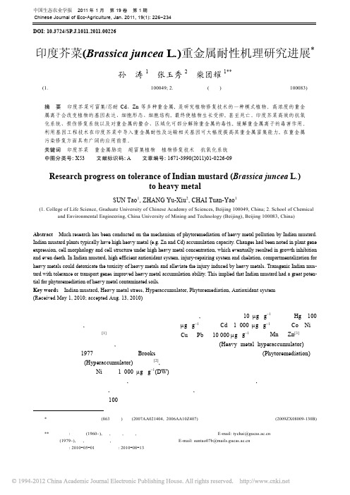 印度芥菜_BrassicajunceaL__重金属耐性机理研究进展