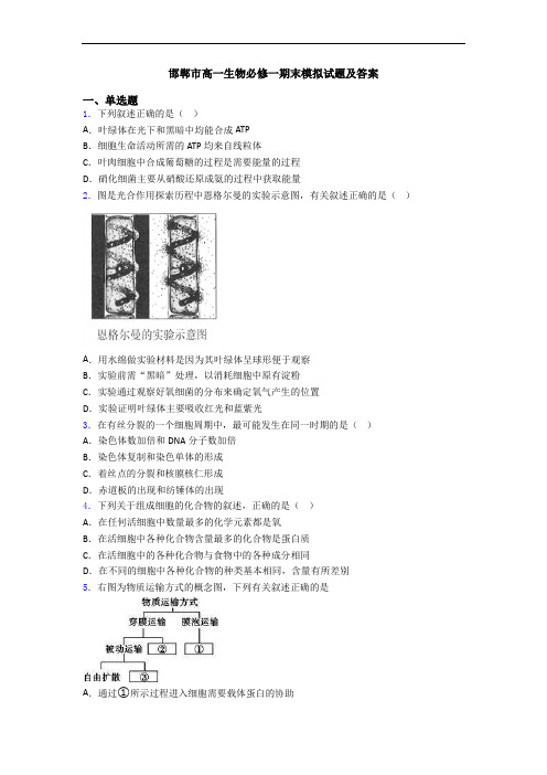 邯郸市高一生物必修一期末模拟试题及答案