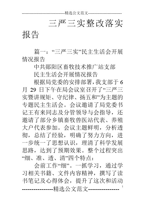 三严三实整改落实报告