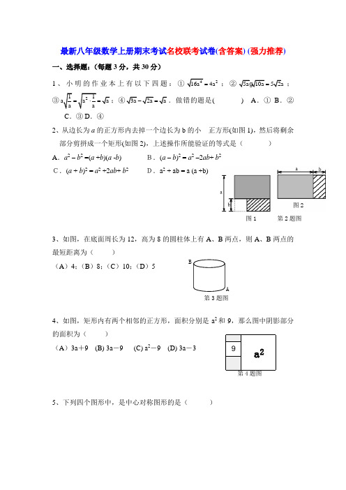 最新八年级数学上册期末考试名校联考试卷(含答案) (强力推荐)