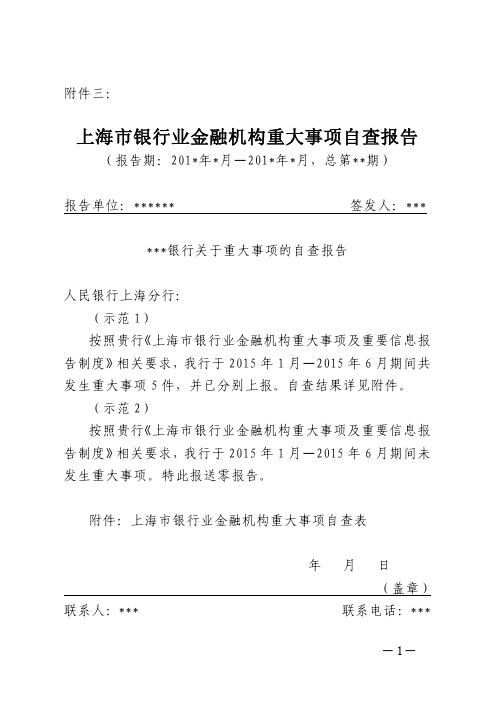 《上海市银行业金融机构重大事项自查报告》模板