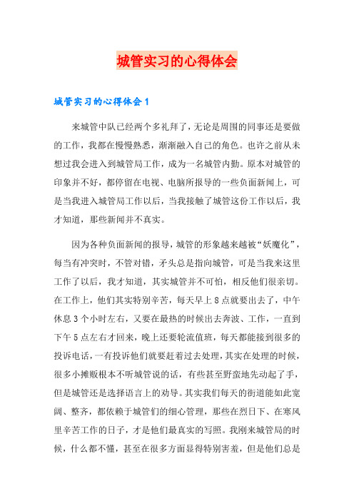 城管实习的心得体会