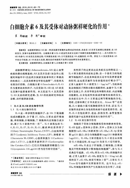 白细胞介素6及其受体对动脉粥样硬化的作用