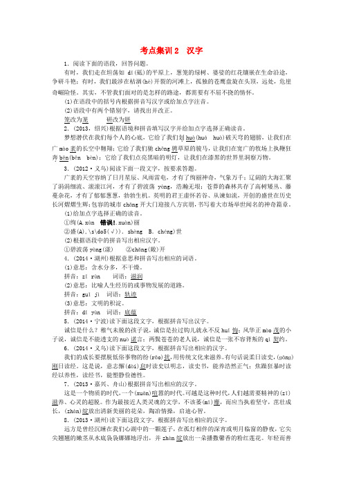 【名师面对面】(浙江)中考语文总复习 考点集训2 汉字