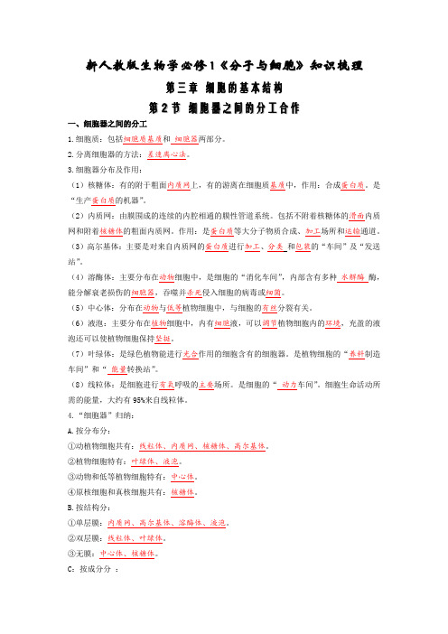 3.2 细胞器之间的分工合作-2024-2025学年高一生物上学期同步必备知识清单