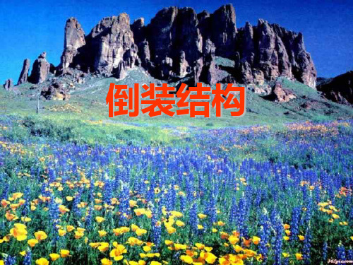 高考英语语法一轮复习 倒装句(共18张)