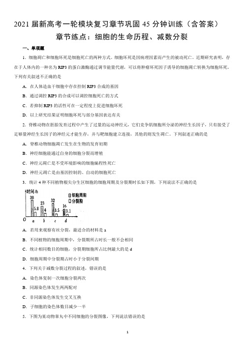 高中生物 新高考一轮模块复习章节巩固训练 细胞的生命历程  减数分裂 (含答案)