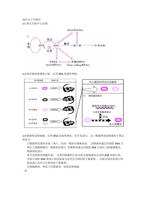 分子生物学课后答案总结