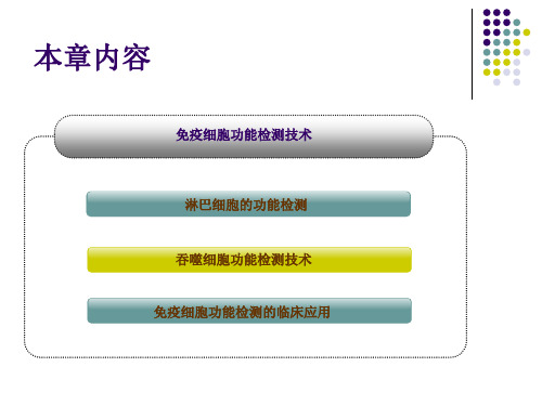 免疫细胞功能检测技术知识分享