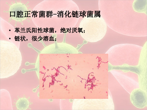 口腔生物学：口腔正常菌群