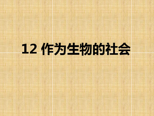 课件：人教版语文必修5：12.作为生物的社会