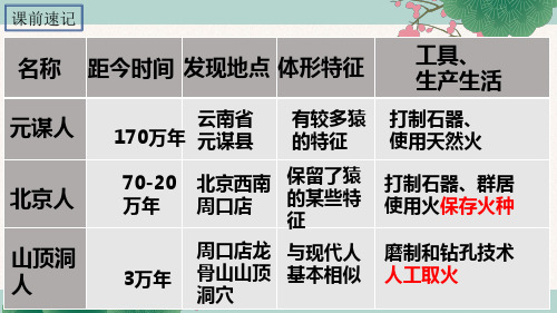人教版七年级上册历史 第2课 原始农耕生活课件(共23张PPT)
