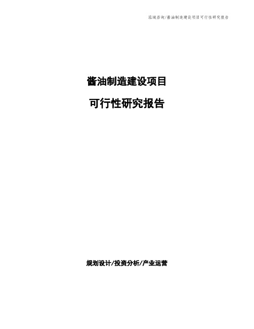 酱油制造建设项目可行性研究报告