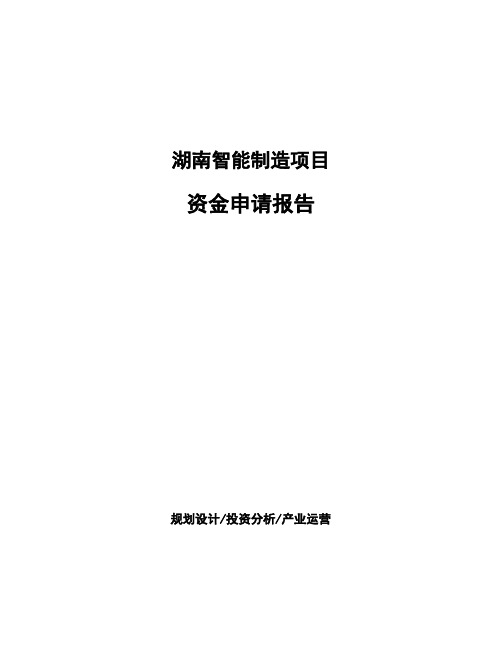 湖南智能制造项目资金申请报告