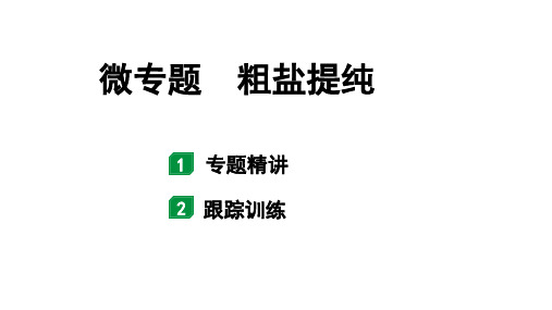 2024山东中考化学二轮专题复习 微专题 粗盐提纯(课件)