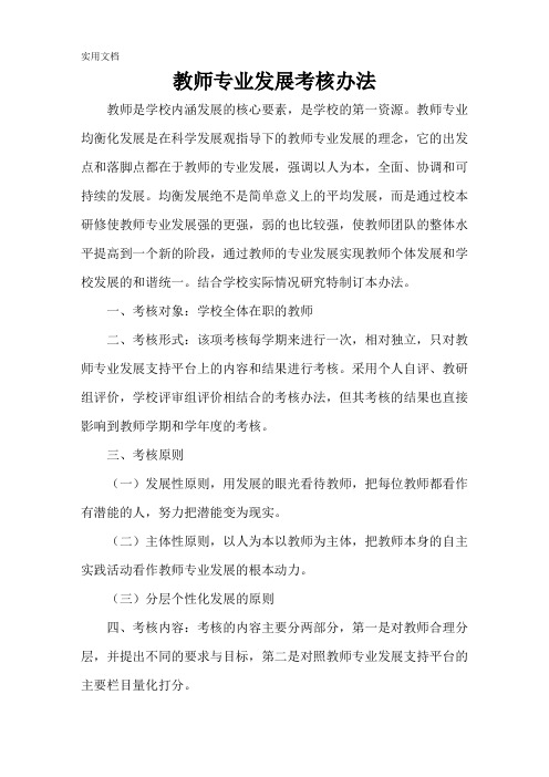 教师专业发展考核办法