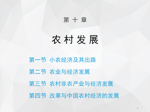 10章-课件-发展经济学第4版教学-马春文