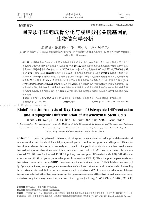 间充质干细胞成骨分化与成脂分化关键基因的生物信息学分析