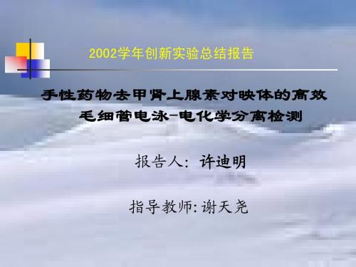 2002学年创新实验总结报告