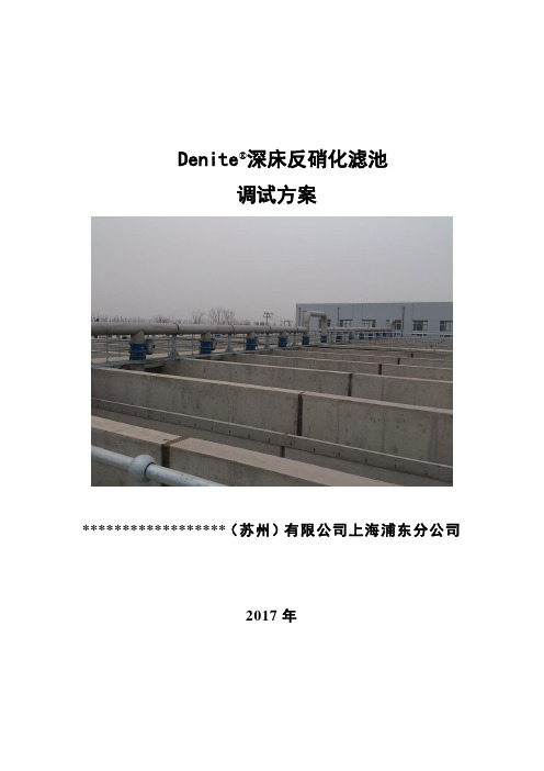 反硝化滤池调试方案