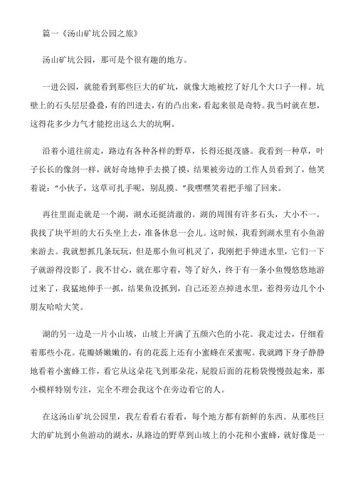 春游去哪玩三年级作文300字,题目是矿坑公园