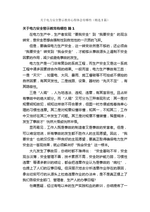 关于电力安全警示教育心得体会有哪些（精选5篇）