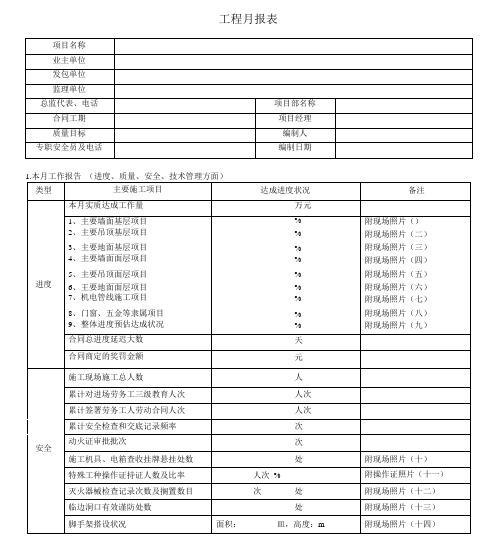 项目月报表格式