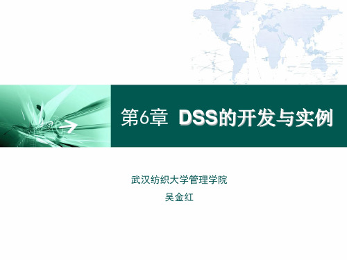 第6章 DSS的开发与实例