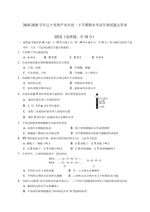 2019-2020学年辽宁省葫芦岛市高一下学期期末考试生物试题及答案